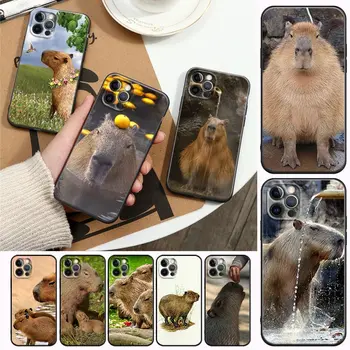 Gyvūnų Telefono dėklas skirtas APPLE iPhone 6 7 8 Plus SE 11 12 13 14 Pro Max Mini XR Xs Minkštas Atvejais Padengti Juokinga Dušu Aukso Capybara